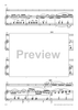 Concertino for Bassoon (Solo/ Piano Reduction)