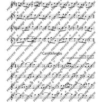 The Irish Flute Book