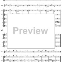 Concerto for Mandolin and Orchestra in F major - Score