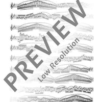 30 Virtuoso Etudes in all major and minor keys