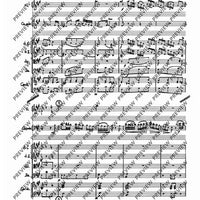 Concerto E Major - Score