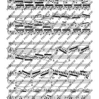 Grand Duo concertant