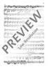 Concerto B Minor