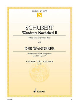 Wandrers Nachtlied II / Der Wanderer