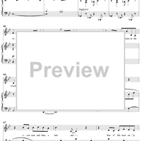 Moments in the Woods