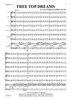 Tree Top Dreams - Full Score