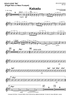 Kakadu - Solo Lead Bb Instrument