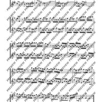 Sonata e minor - Performing Score