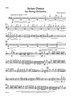 Avian Dance - Cello
