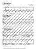 Geigenfrosch & Co: Violinbegleitung 2 - Text