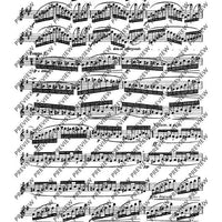 The Flutist's Progress