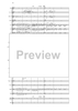 Fantasia di Concerto - Score