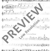 Tiertanzburlesken - Flute