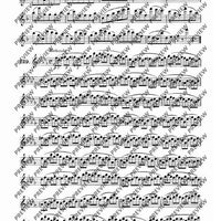 Method for the Flute (Boehm Flute)