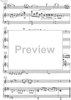 Sonata for violin and piano No. 1 - Score