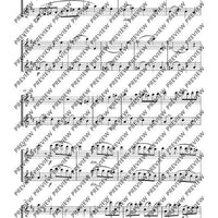 Duo D major - Performing Score