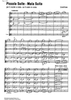 Piccola Suite - Mala Suita - Score