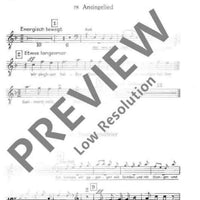 Das Jahr im Lied - Tenor