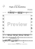 Flight of the Bumblebee - Cornet 1/Trumpet 1