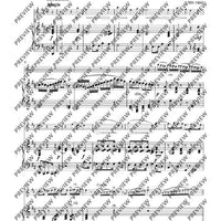 Variationen über „Nel cor più non mi sento“