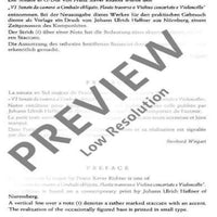 Sonata G Major - Performing Score