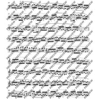 24 Caprices in all keys