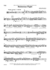 Boisterous Flight - Viola
