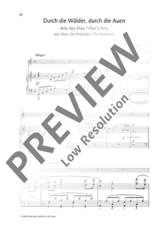 Durch die Wälder, durch die Auen