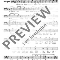 An der schönen blauen Donau - Bass Ii