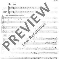 Concerto grosso G Minor - Violin I Solo/rip.