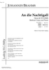 An die Nachtigall Op.46 No. 4