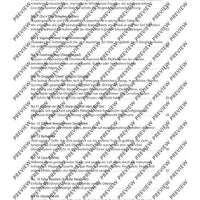 The Flute Expedition