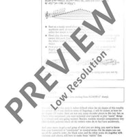 The Modern Recorder Player