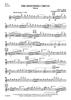 The Defending Circle - Flute / Piccolo