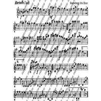 Holledauer Marsch/ Waldler-Marsch - Set of Parts