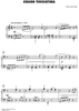 Crash Toccatina
