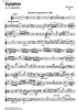 Diptykhos - Eb Sopranino Saxophone
