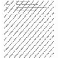 100 Classical and Romantical Études