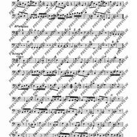 Concerto A minor - Set of Parts