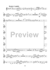 The Horn Concerti - Horn