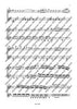 Duet No. 3 D major