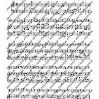 In the Rhythm of the Baroque