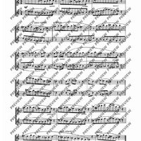 Nine flute duets - Performing Score