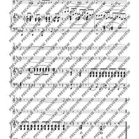 The Arrangements C-Flute(s) with Alto Flute