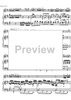 Concerto No. 1 G Major KV313 - Score