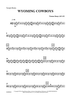 Wyoming Cowboys for String Orchestra - Temple Blocks