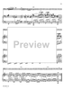 Concerto in G Minor for Basoon, Strings and Cembalo - Piano Accompaniment