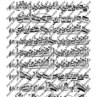 The Flutist's Progress