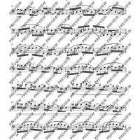 12 Etudes-Caprices caractéristiques