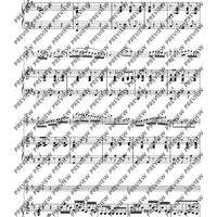 Variationen über „Nel cor più non mi sento“